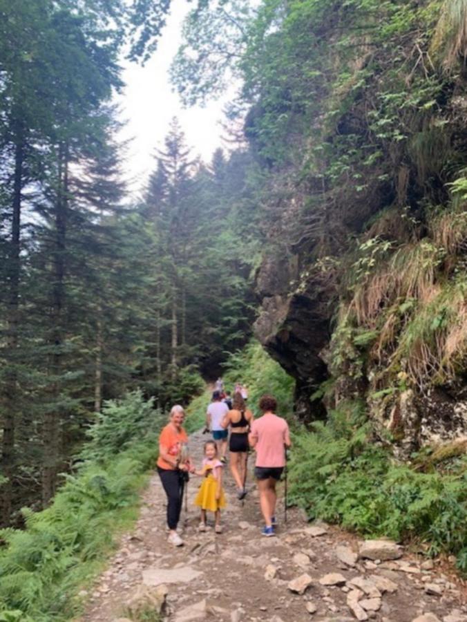 Appartement Tres Agreable Dans Belle Residence, Classe 3 Etoiles Par Le Comite Departementale Du Tourisme En Haute Garonne Bagnères-de-Luchon Eksteriør bilde