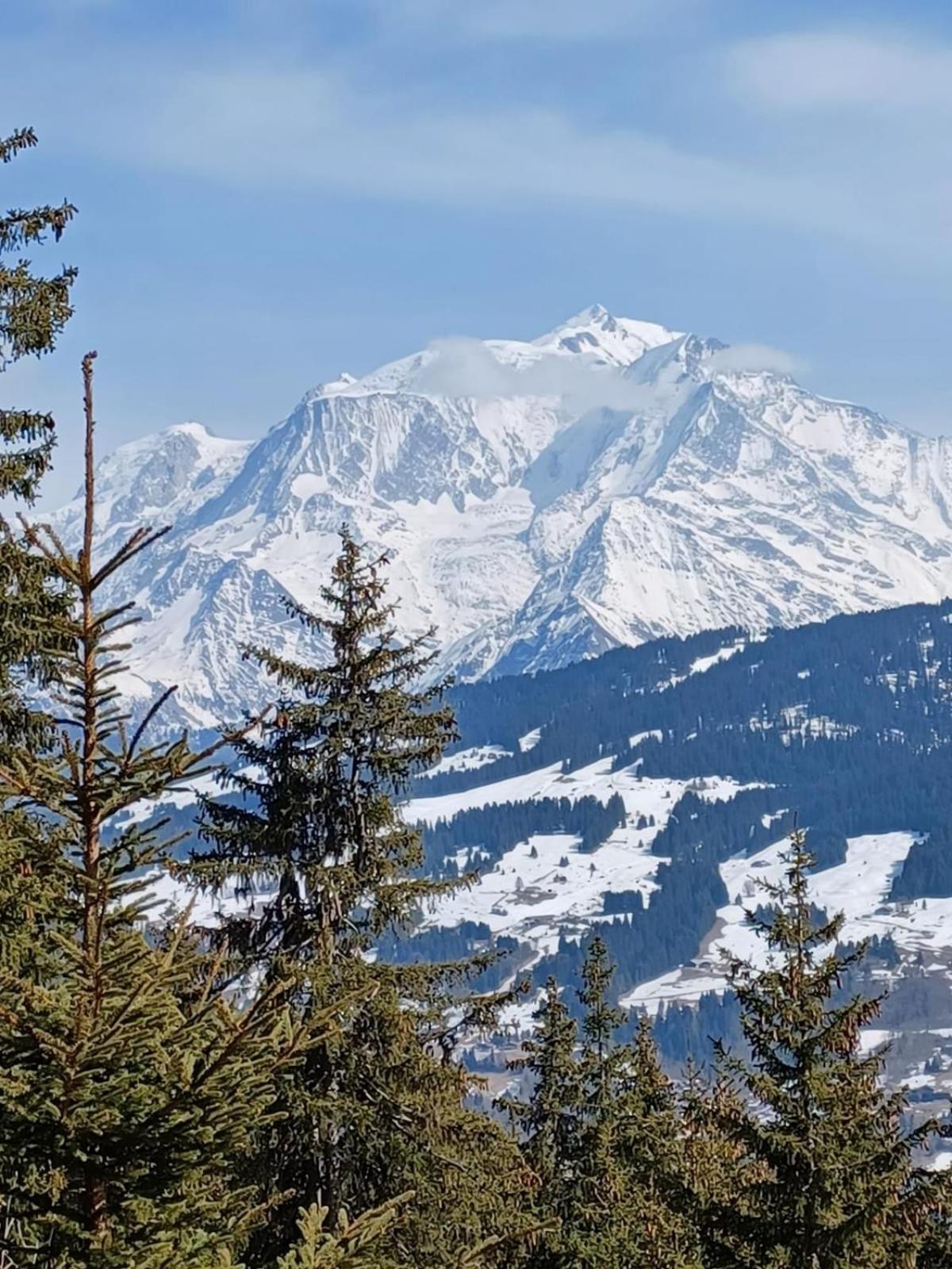 Appartement Tres Agreable Dans Belle Residence, Classe 3 Etoiles Par Le Comite Departementale Du Tourisme En Haute Garonne Bagnères-de-Luchon Eksteriør bilde